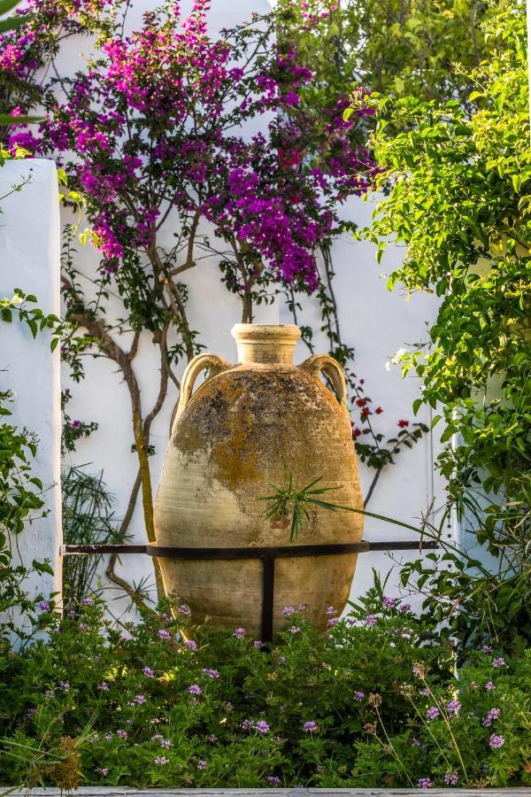 ホテル Dar Jbel Dar Retba エクステリア 写真