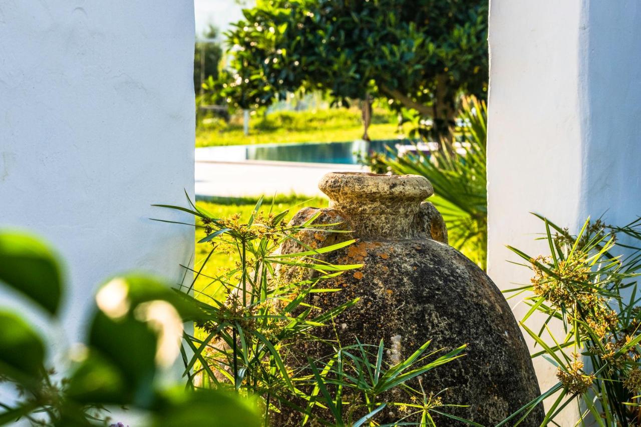 ホテル Dar Jbel Dar Retba エクステリア 写真